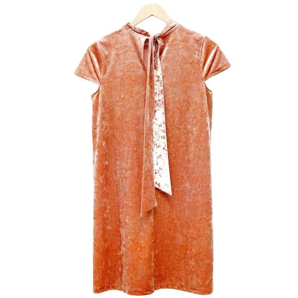 Madewell Crushed Velvet Mockneck Tie Neck Shift Dress Peach Pink Size Small - Picture 5 of 15